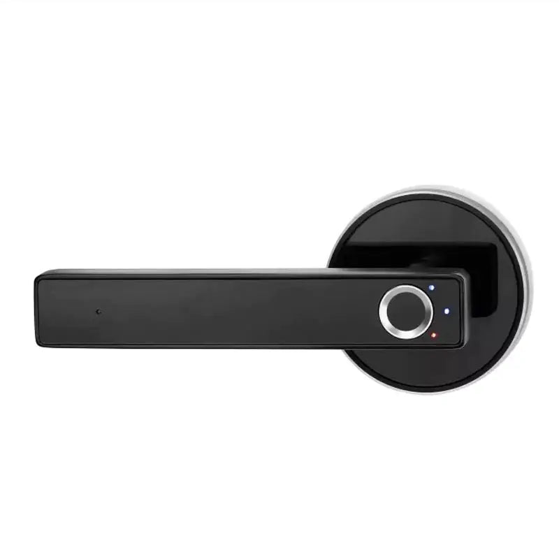 Fingerprint Smart Lock - Biometrisches Türschloss für Indoor Home Security