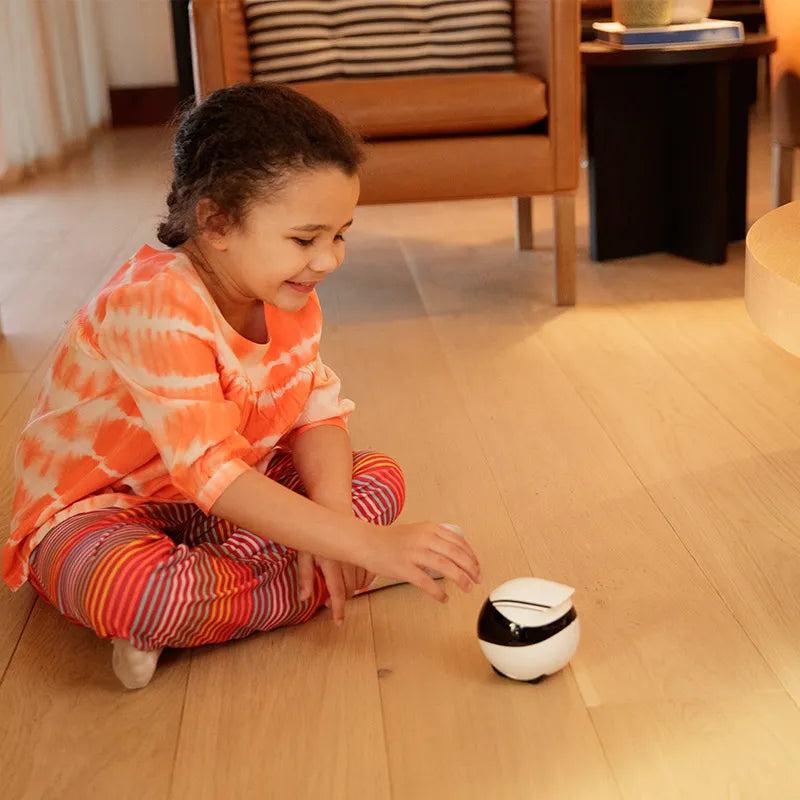 Smart Home Companion Robot EBO - Intelligenter Haushaltsroboter mit KI & WiFi