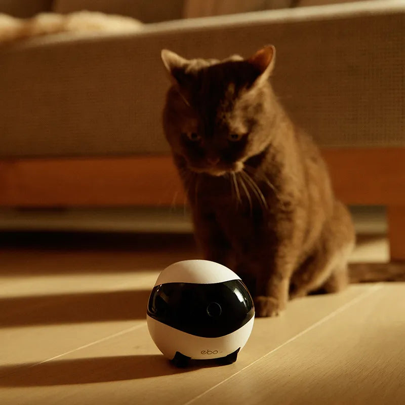 Smart Home Companion Robot EBO - Intelligenter Haushaltsroboter mit KI & WiFi